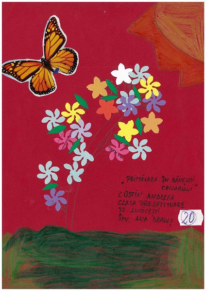 20_Andreea COSTIN_Lucacesti.jpg